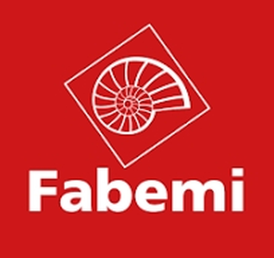 Fabemi Logo