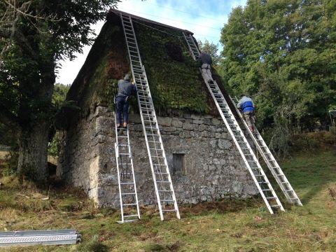 Stage genêt 2015.09-C.Brière 3