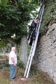 Stage genêt 2016.09 La Cassonié - S. LEGOFF 1