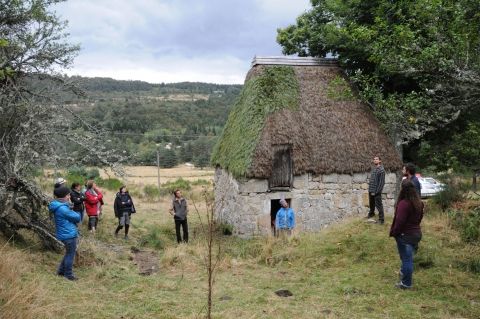 Stage genêt 2016.09 La Cassonié - S. LEGOFF 3